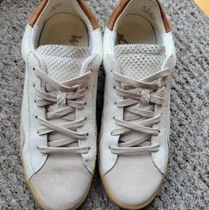 Sam Edelman Prima court low top sneakers